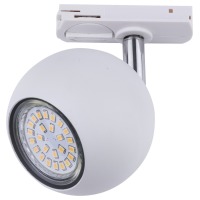 TK-Lighting 4040 Фото