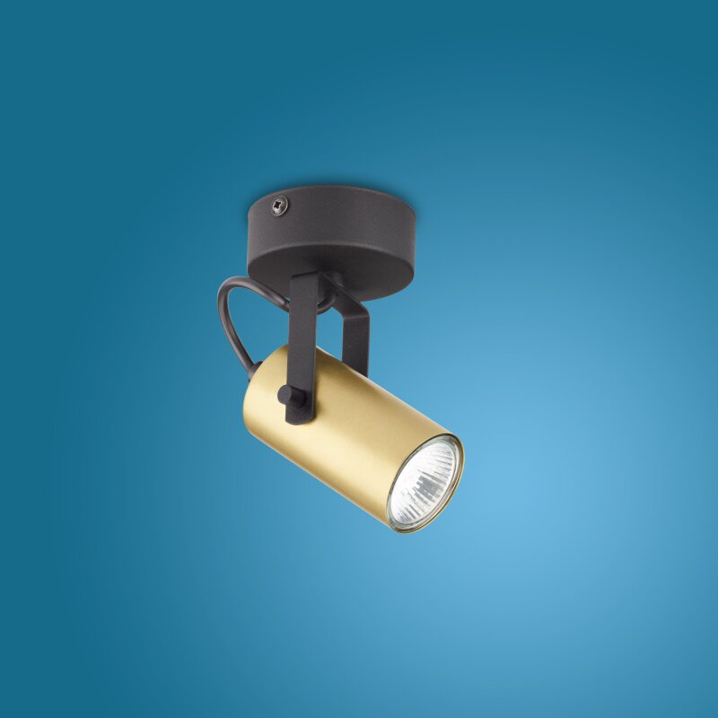 2793 TK-Lighting REDO Чорно-золотий 2793 TK-Lighting REDO Чорно-золотий Фото