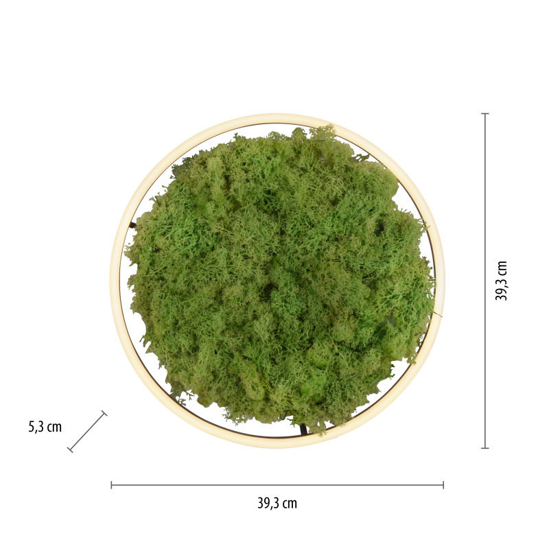 15391-66 Zumaline GREEN RITUS 15391-66 Zumaline GREEN RITUS Фото