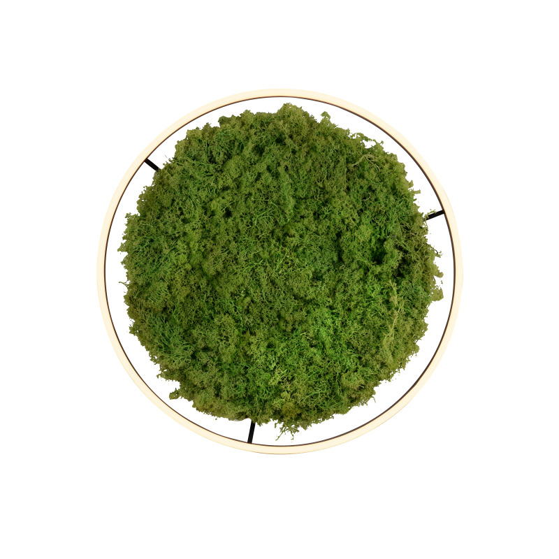 15392-66 Zumaline GREEN RITUS 15392-66 Zumaline GREEN RITUS Фото