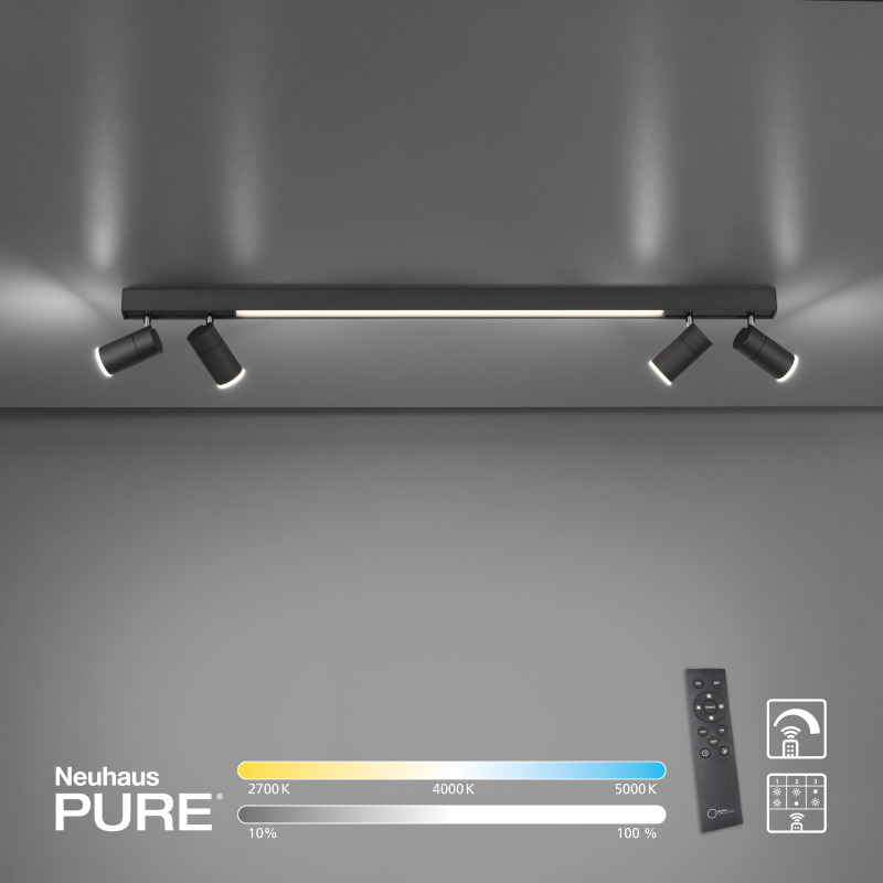 6121-13 Zumaline PURE Lines Spot 6121-13 Zumaline PURE Lines Spot Фото