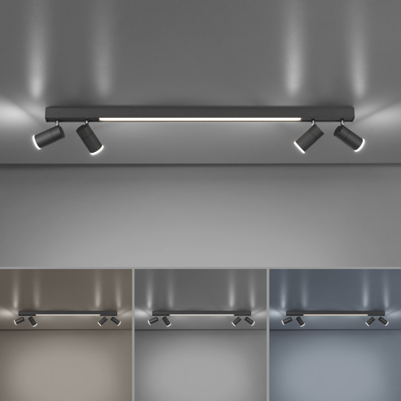 6121-13 Zumaline PURE Lines Spot 6121-13 Zumaline PURE Lines Spot Фото