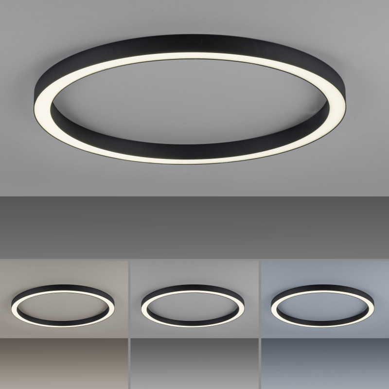 6306-13 Zumaline PURE Lines Round 6306-13 Zumaline PURE Lines Round Фото