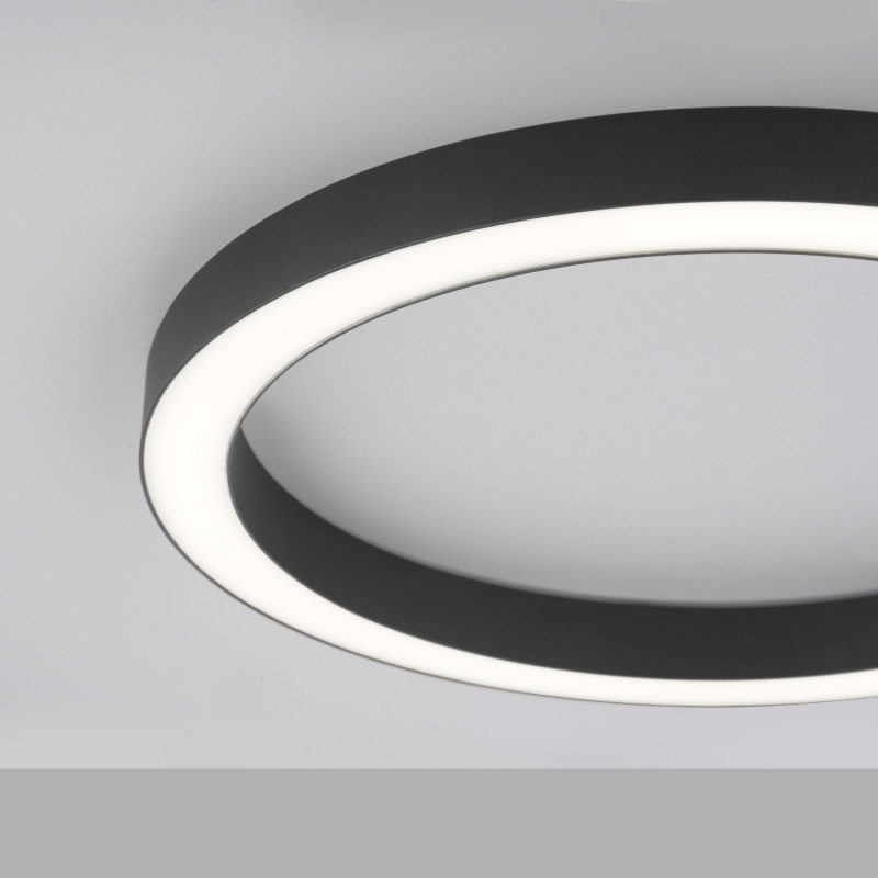 6309-13 Zumaline PURE Lines Round 6309-13 Zumaline PURE Lines Round Фото