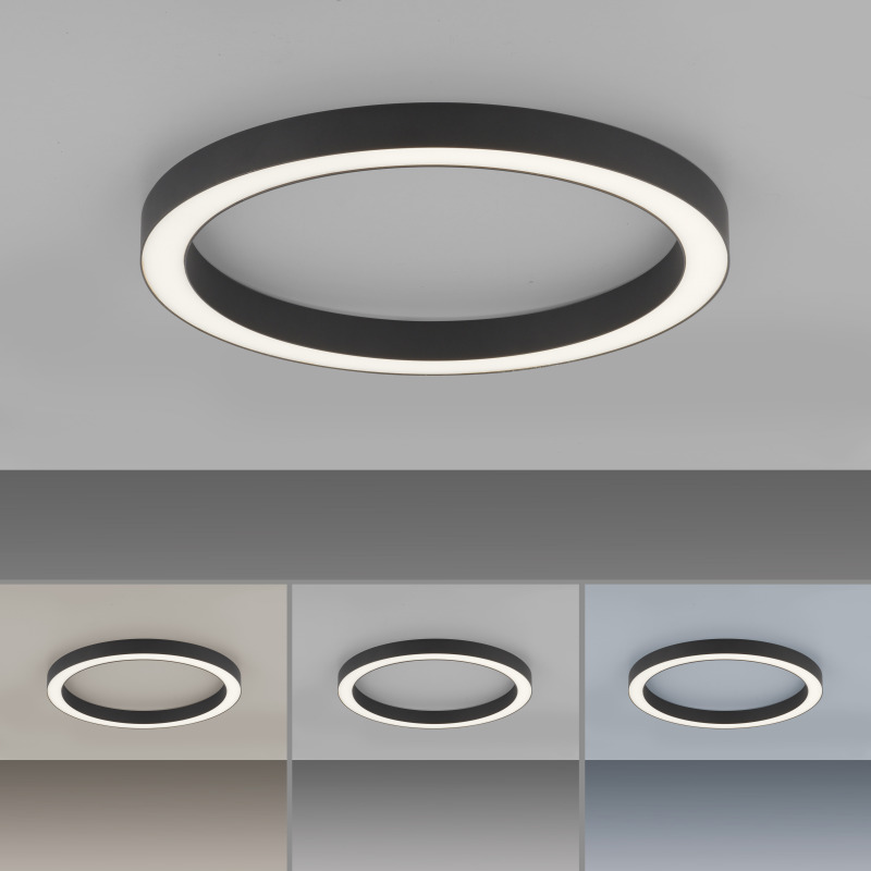6309-13 Zumaline PURE Lines Round 6309-13 Zumaline PURE Lines Round Фото