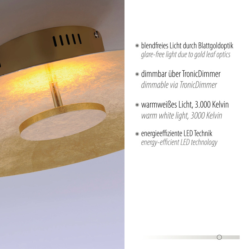 8132-12 Zumaline PLATE LAMPA SUFITOWA ZŁOTY 8132-12 Zumaline PLATE LAMPA SUFITOWA ZŁOTY Фото