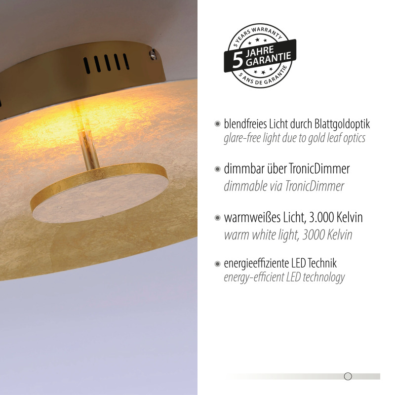 8132-12 Zumaline PLATE LAMPA SUFITOWA ZŁOTY 8132-12 Zumaline PLATE LAMPA SUFITOWA ZŁOTY Фото