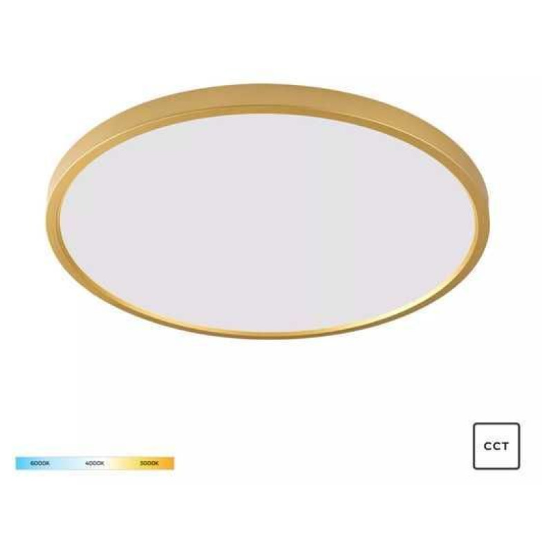 WM-BP1108-L-G Zumaline CAMI  WM-BP1108-L-G Zumaline CAMI Фото